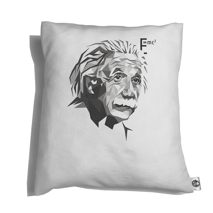 Accesorios: Cojín Decorativo Albert Einstein y otros personajes Personajes Ilustración