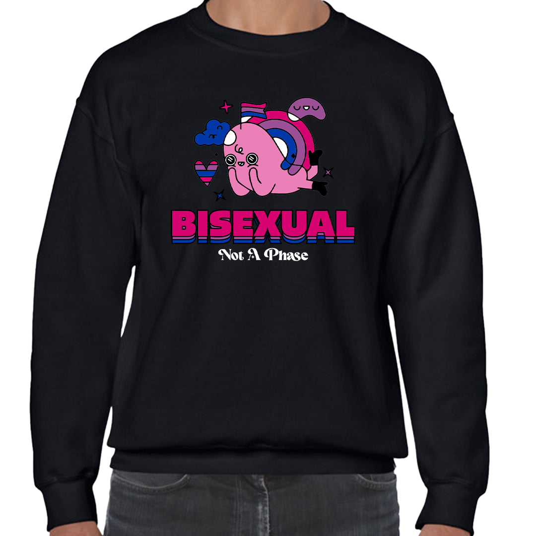Ropa: Sudadera Unisex diseños de playeras lgbt, pride, orgullo, gay, lesbianas Pride LGBT
