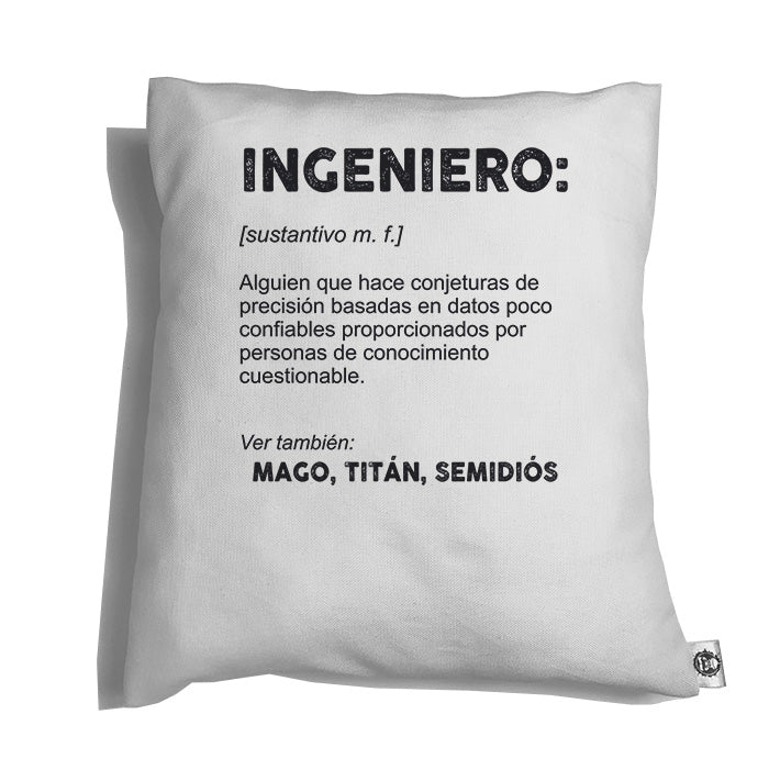 Accesorios: Cojín Decorativo Diseños de ingenieros, profesiones, profesionales, expertos, humor, sarcasmo, ironía, frases graciosas en México. Humor Moda