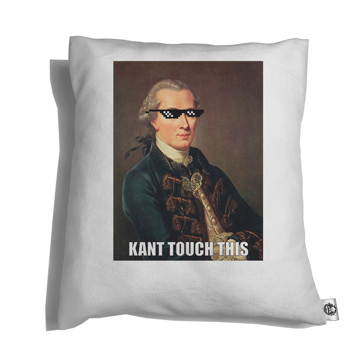 Accesorios: Cojín Decorativo Diseños chistosos de Memes de Immanuel Kant en Internet  Humor Personajes